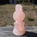 Rose Quartz Crystal Parrot 
