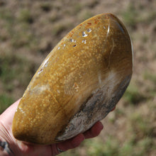 Load image into Gallery viewer, Ocean Jasper Crystal Bowl 
