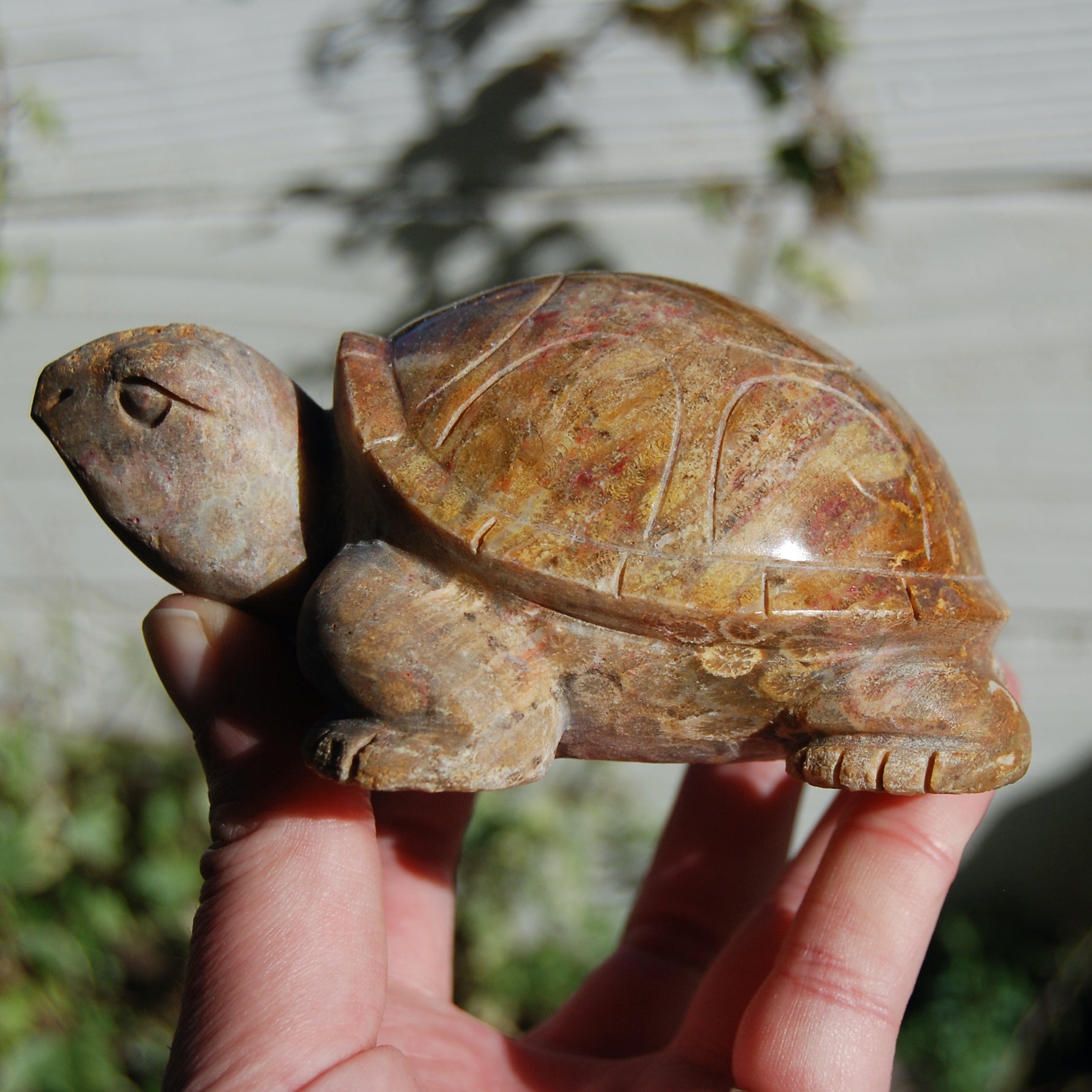 Master Carved Fossil Coral Crystal Turtle Realistic