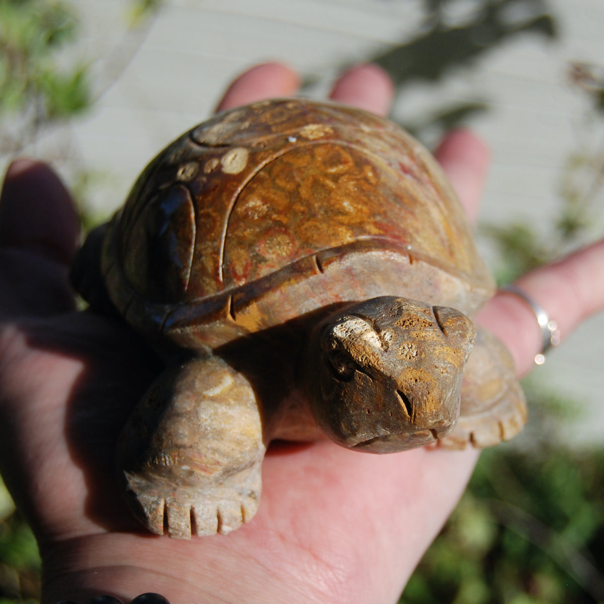 Master Carved Fossil Coral Crystal Turtle Realistic