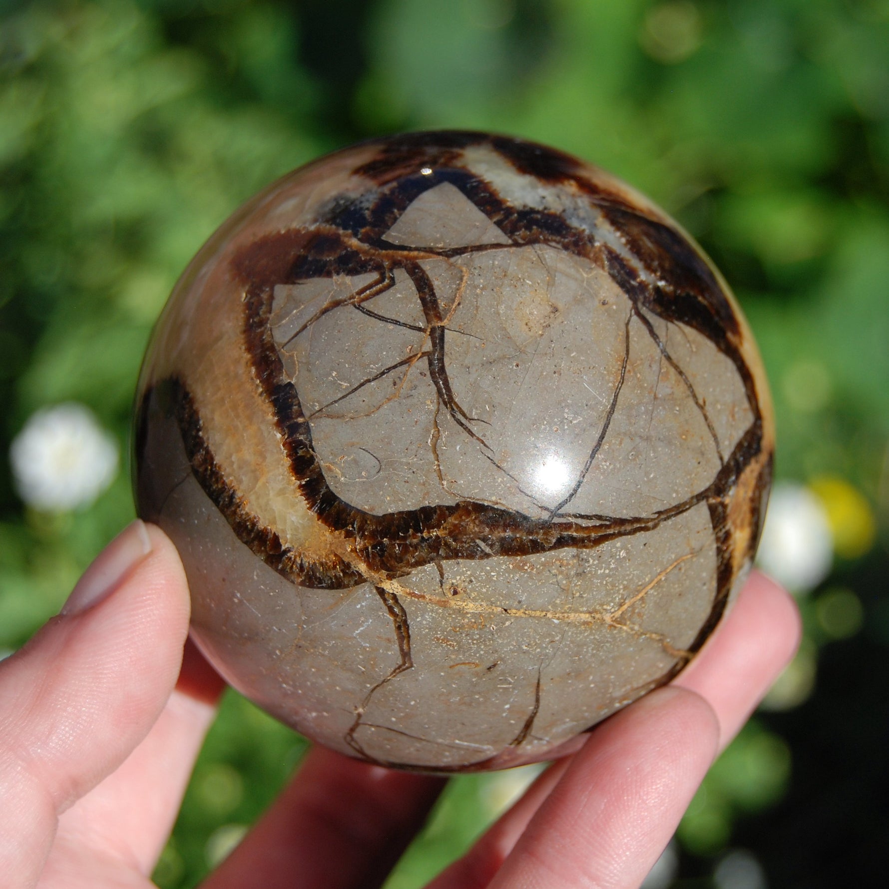 Septarian Crystal Sphere