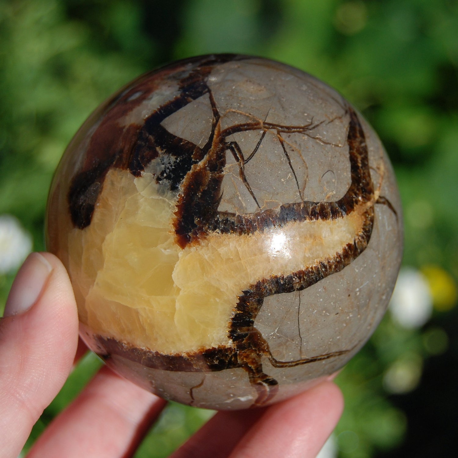 Septarian Crystal Sphere