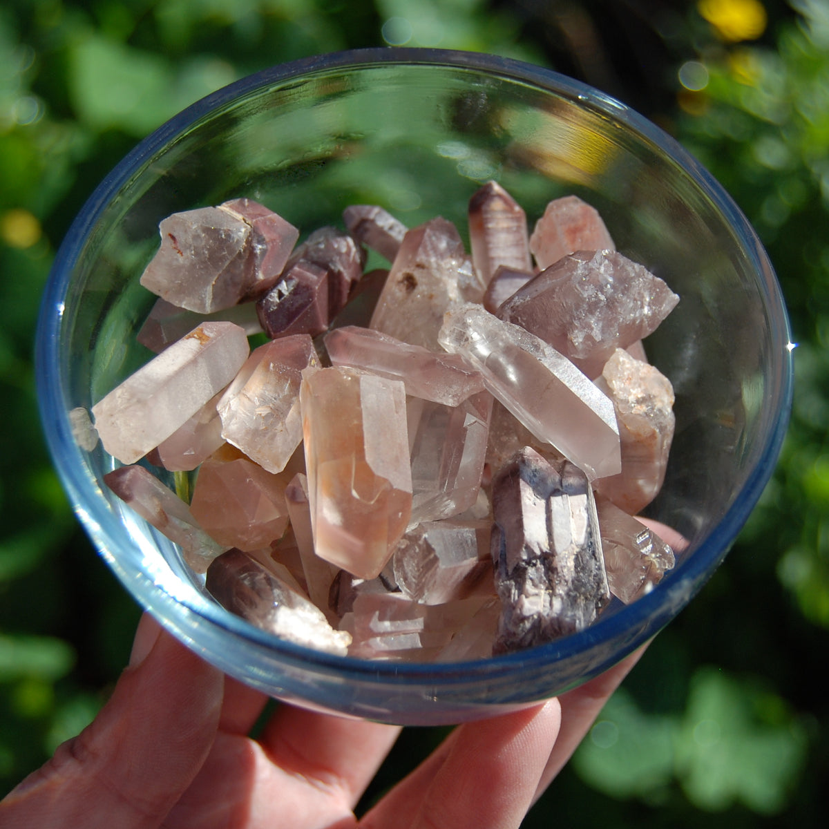 Lithium Lemurian Seed Quartz Crystal from Brazil