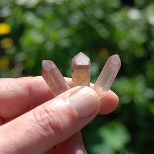 Lithium Lemurian Seed Quartz Crystal from Brazil