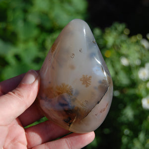Dendritic Agate Polished Crystal Palm Stone