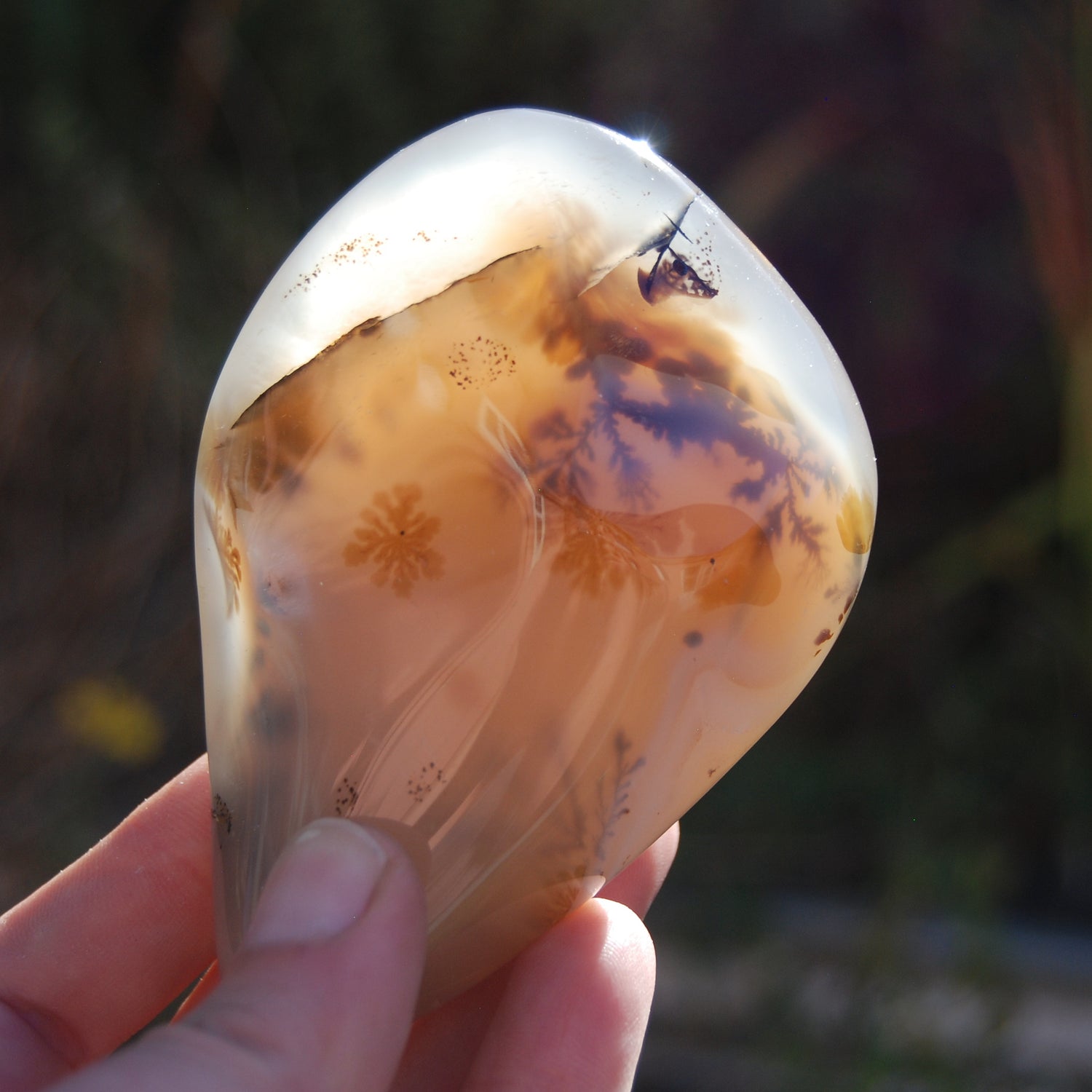 Dendritic Agate Polished Crystal Palm Stone