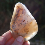 Dendritic Agate Polished Crystal Palm Stone