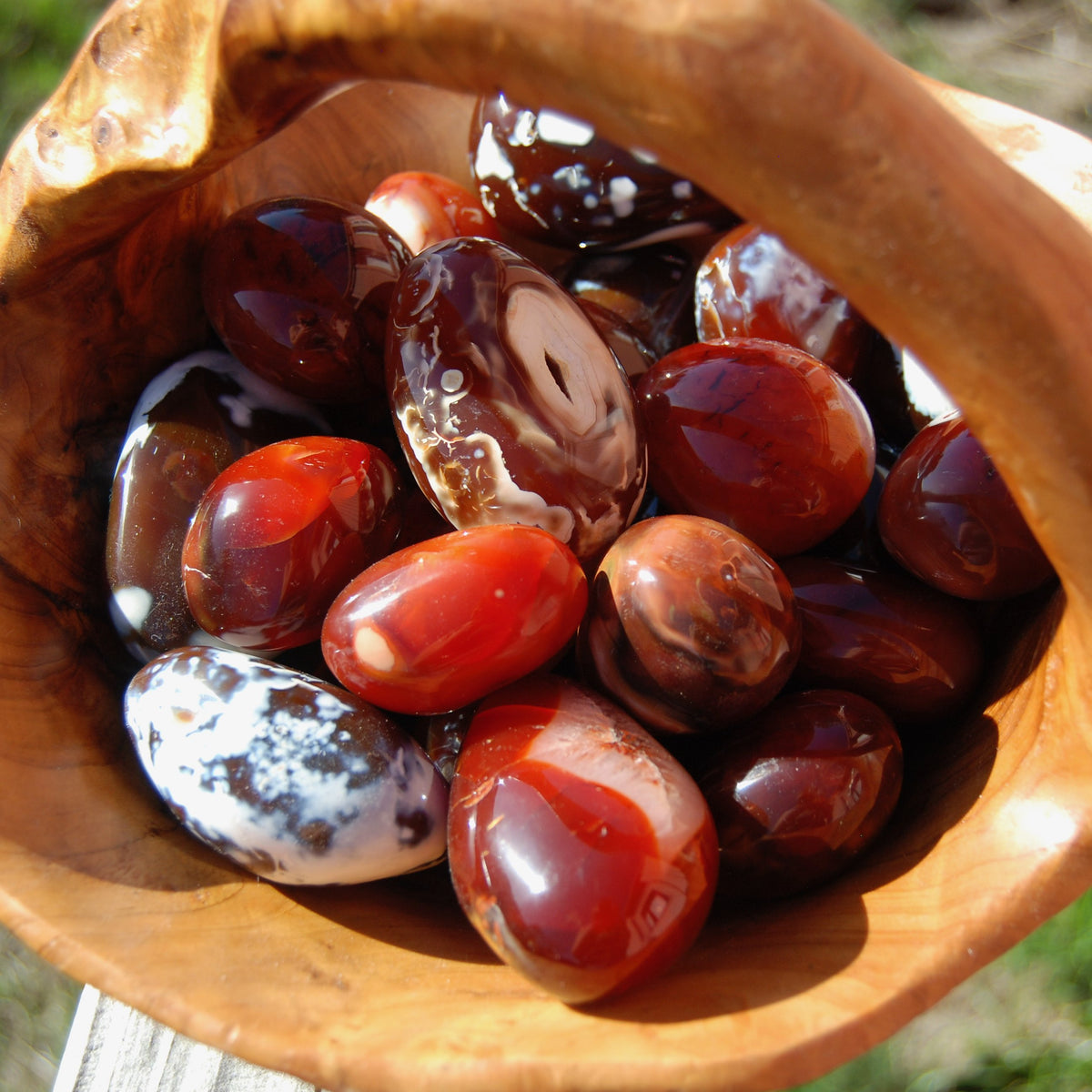 Carnelian Polished Crystal Palm Stones