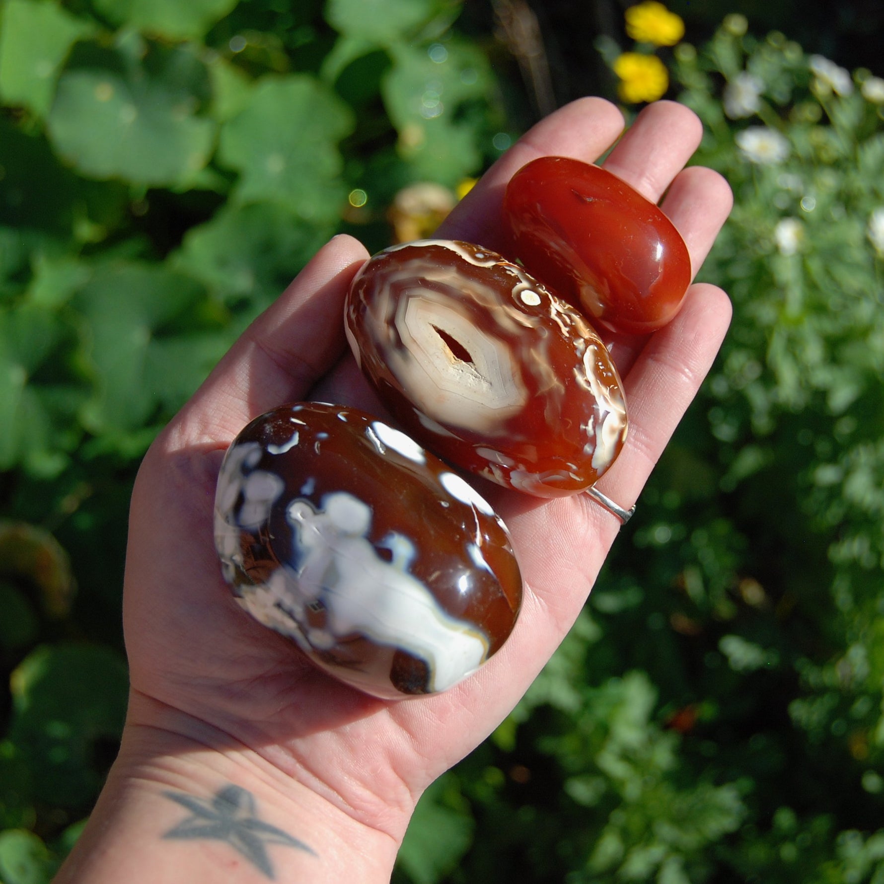 Carnelian Crystal Palm Stones