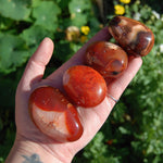 Carnelian Polished Crystal Palm Stones
