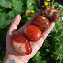 Load image into Gallery viewer, Carnelian Polished Crystal Palm Stones
