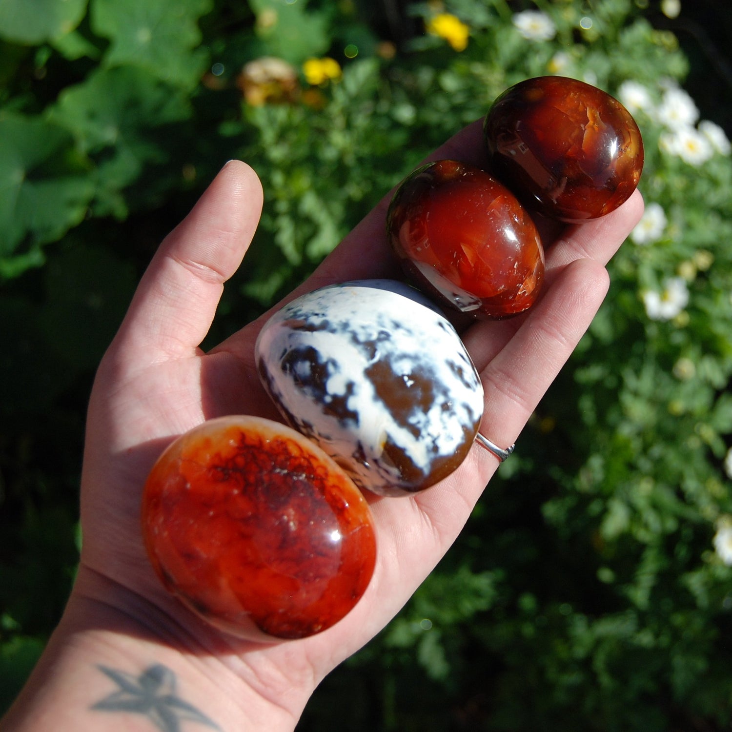 Carnelian Crystal Palm Stones