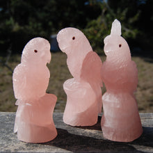 Load image into Gallery viewer, Carved Rose Quartz Crystal Parrot 
