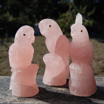 Rose Quartz Crystal Parrot 
