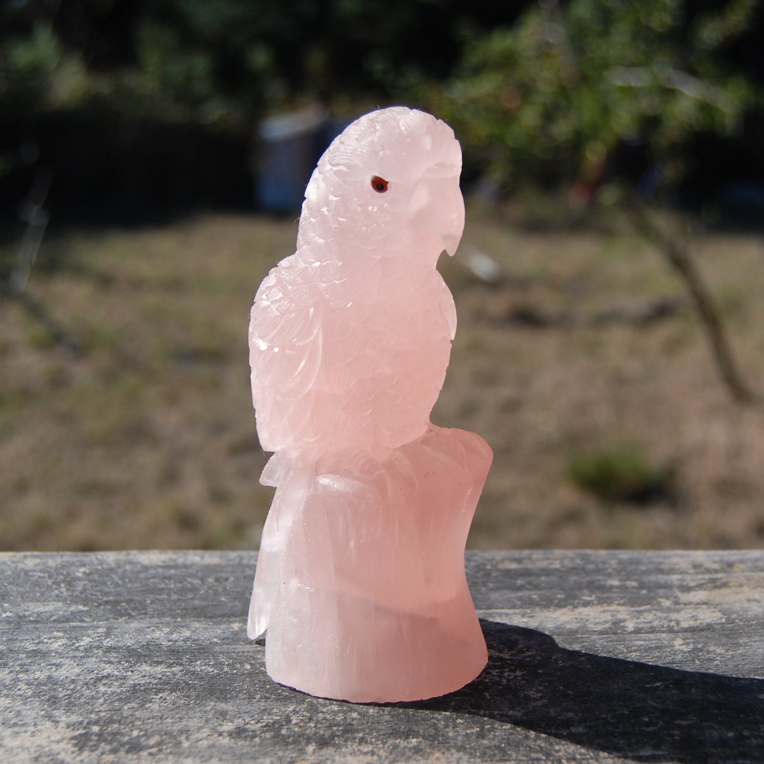 Rose Quartz Crystal Parrot 