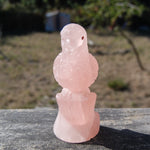 Rose Quartz Crystal Parrot 