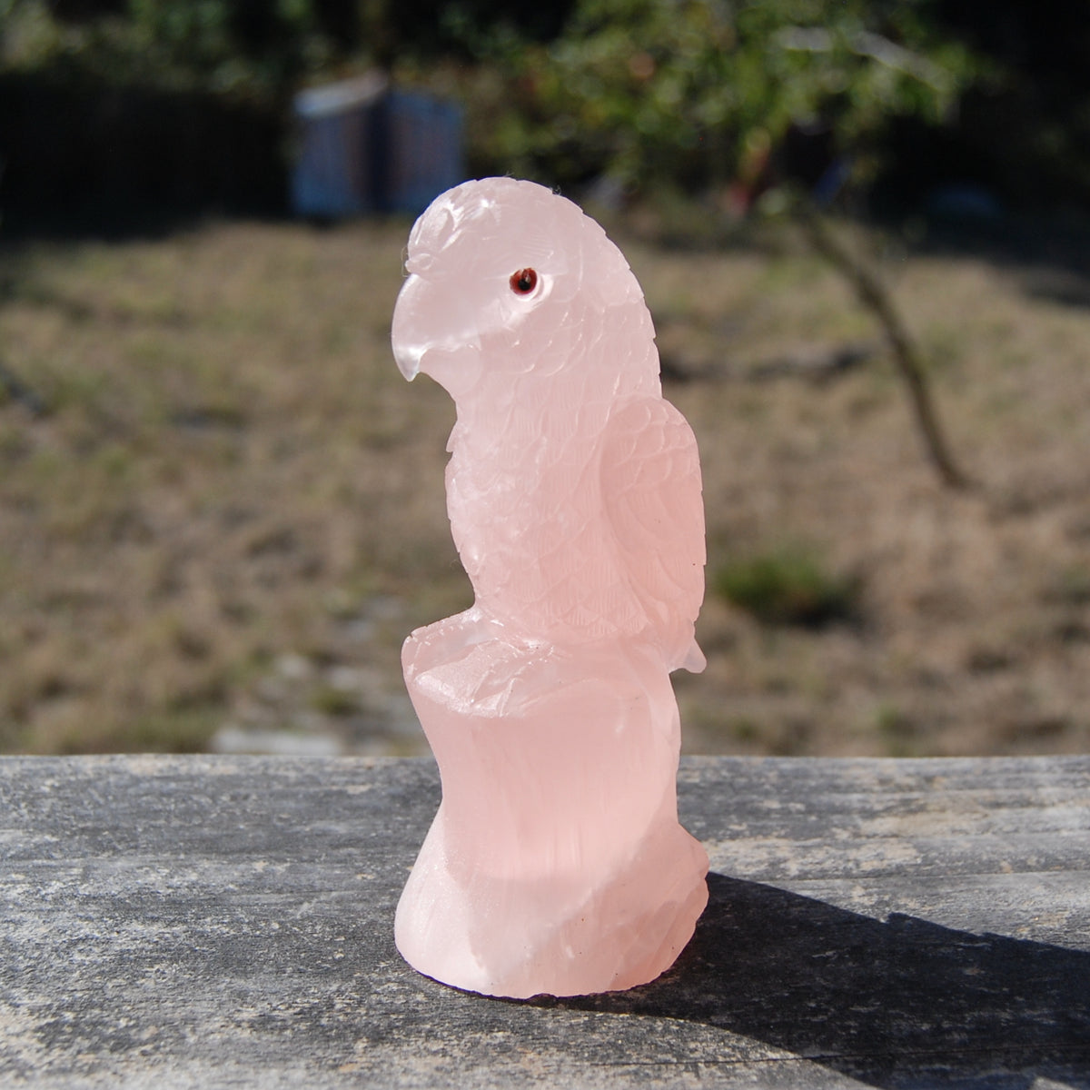 Rose Quartz Crystal Parrot 