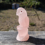 Rose Quartz Crystal Parrot 