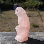 Rose Quartz Crystal Parrot 