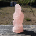 Rose Quartz Crystal Parrot 
