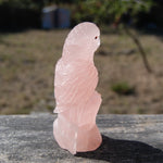 Rose Quartz Crystal Parrot 