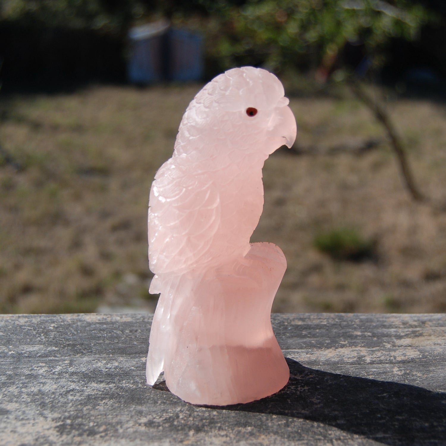 Rose Quartz Crystal Parrot 