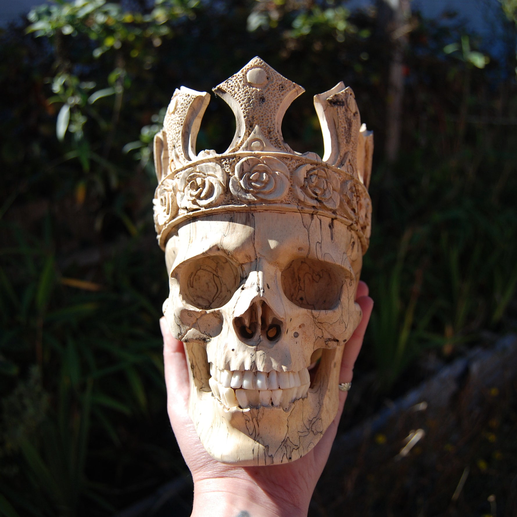 Carved Human Skull with Crown in Wood with Bone Teeth