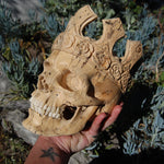 Carved Human Skull with Crown in Wood with Bone Teeth