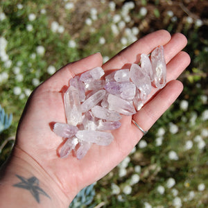 Veracruz Amethyst Crystal Points