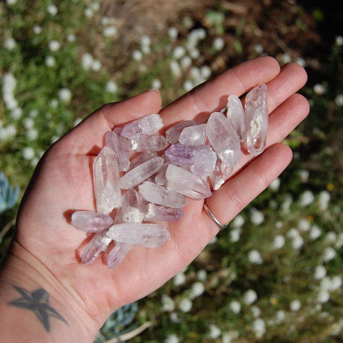 Veracruz Amethyst Raw Crystal Points