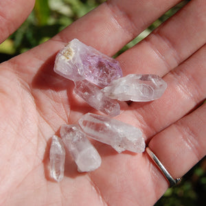 Veracruz Amethyst Raw Crystal Points