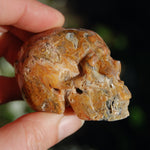 Crazy Lace Agate Crystal Skull Realistic Gemstone Carving