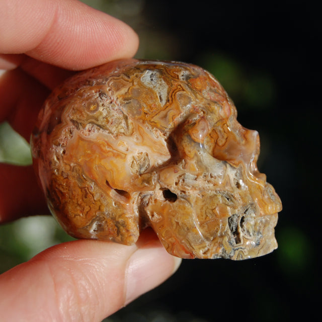 Crazy Lace Agate Crystal Skull Realistic Gemstone Carving