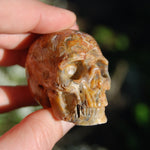 Crazy Lace Agate Crystal Skull Realistic Gemstone Carving