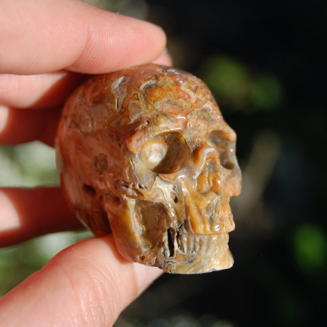 Crazy Lace Agate Crystal Skull Realistic Gemstone Carving