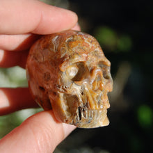Load image into Gallery viewer, Crazy Lace Agate Crystal Skull Realistic Gemstone Carving
