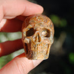 Crazy Lace Agate Crystal Skull Realistic Gemstone Carving