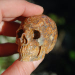 Crazy Lace Agate Crystal Skull Realistic Gemstone Carving