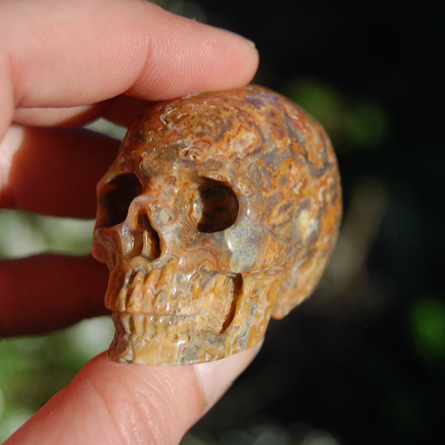 Crazy Lace Agate Crystal Skull Realistic Gemstone Carving