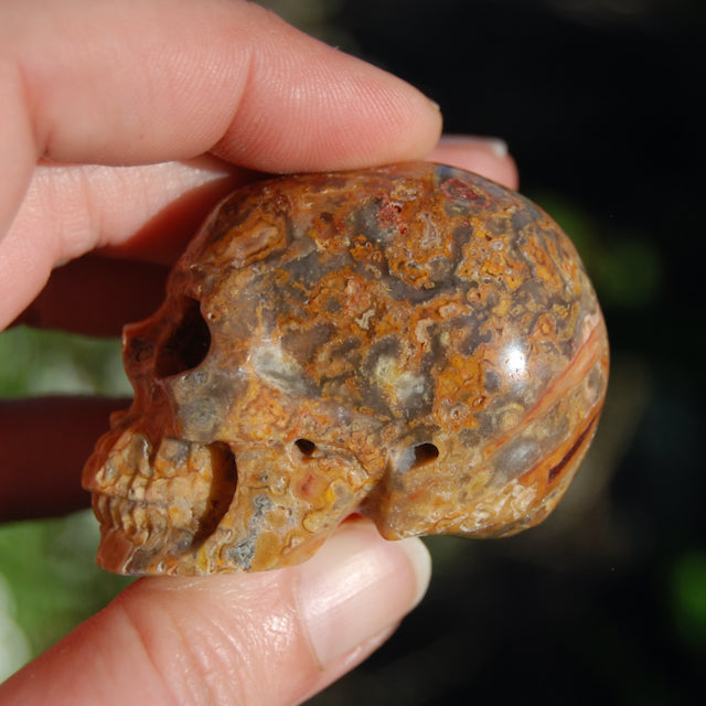 Crazy Lace Agate Crystal Skull Realistic Gemstone Carving