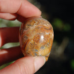 Crazy Lace Agate Crystal Skull Realistic Gemstone Carving