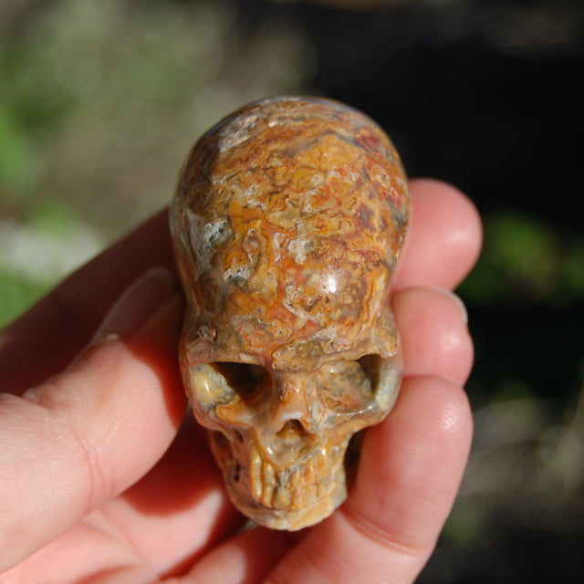 Crazy Lace Agate Crystal Skull Realistic Gemstone Carving