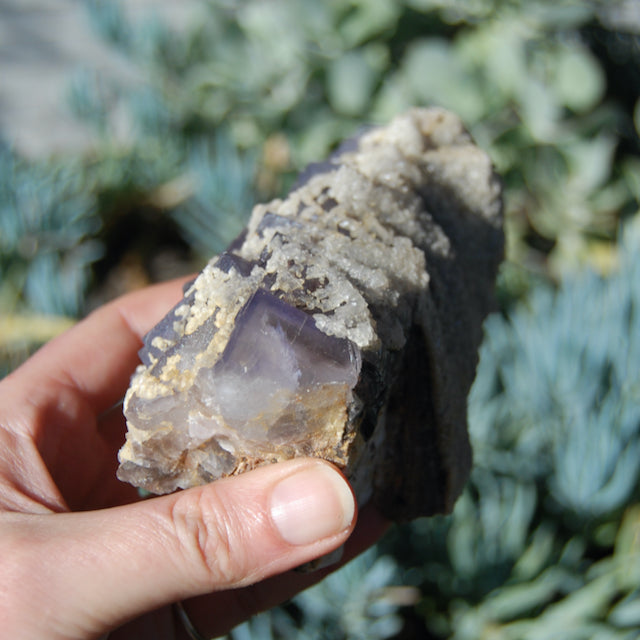 Fluorite Crystal Cluster Dogtooth Calcite