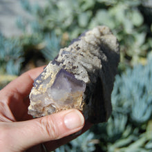 Load image into Gallery viewer, Fluorite Crystal Cluster Dogtooth Calcite
