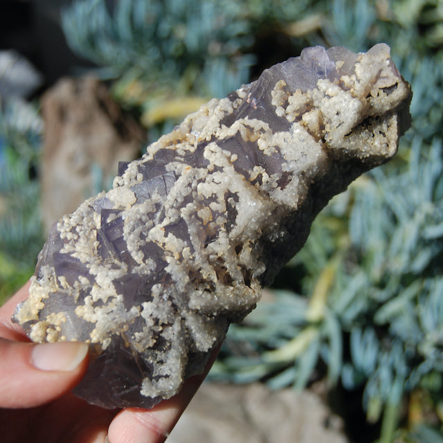 Fluorite Crystal Cluster Dogtooth Calcite