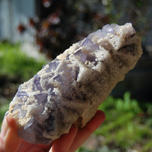 Raw Fluorite Stellar Beam Dogtooth Calcite Crystal Specimen Large Mineral Specimen