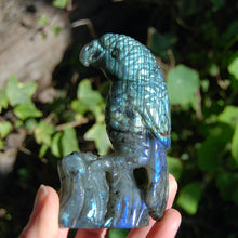 Load image into Gallery viewer, Labradorite Parrot Carved Crystal Bird
