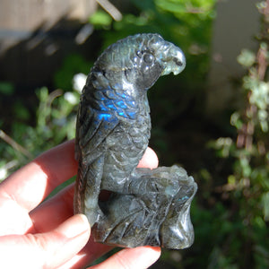 Labradorite Parrot Carved Crystal Bird