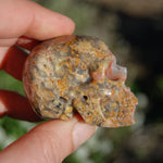Crazy Lace Agate Crystal Skull Realistic Gemstone CarvingCrazy Lace Agate Crystal Skull Realistic Gemstone Carving
