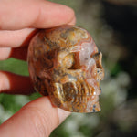 Crazy Lace Agate Crystal Skull Realistic Gemstone Carving
